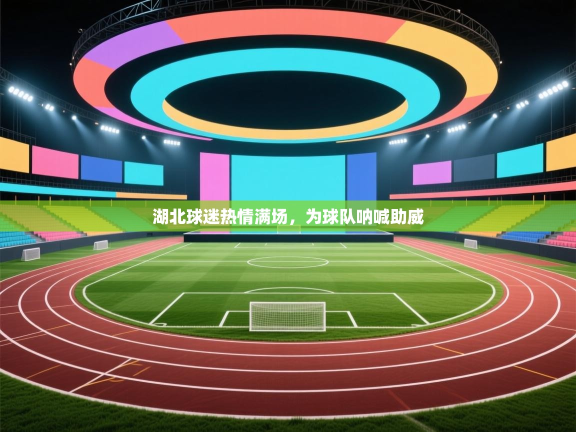 湖北球迷热情满场，为球队呐喊助威  第1张