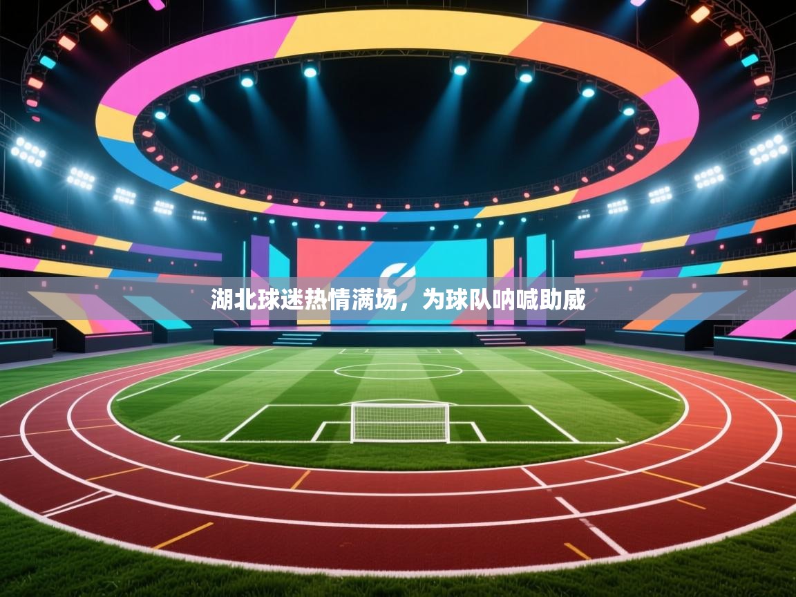 湖北球迷热情满场，为球队呐喊助威  第2张