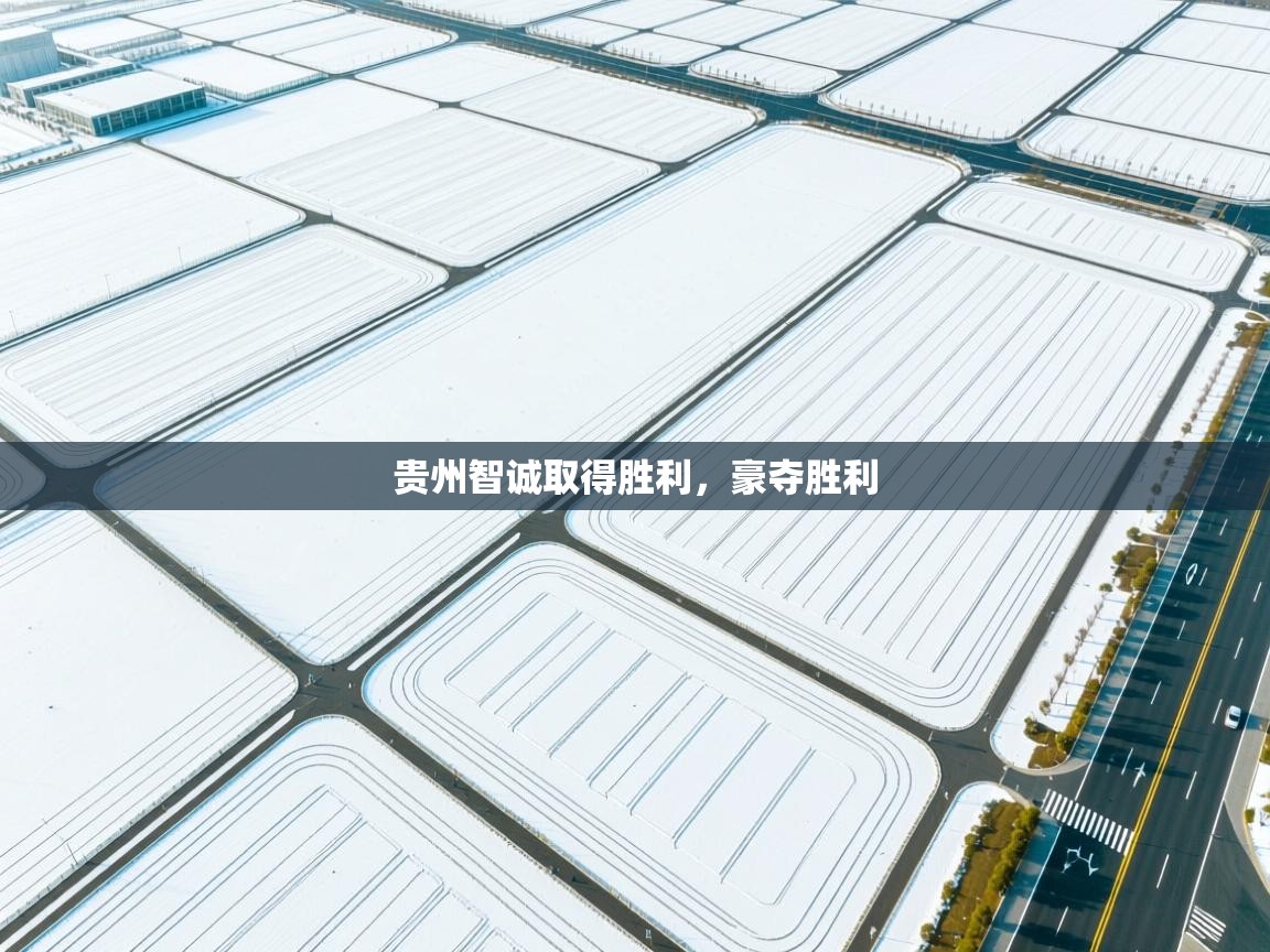 贵州智诚取得胜利，豪夺胜利  第1张