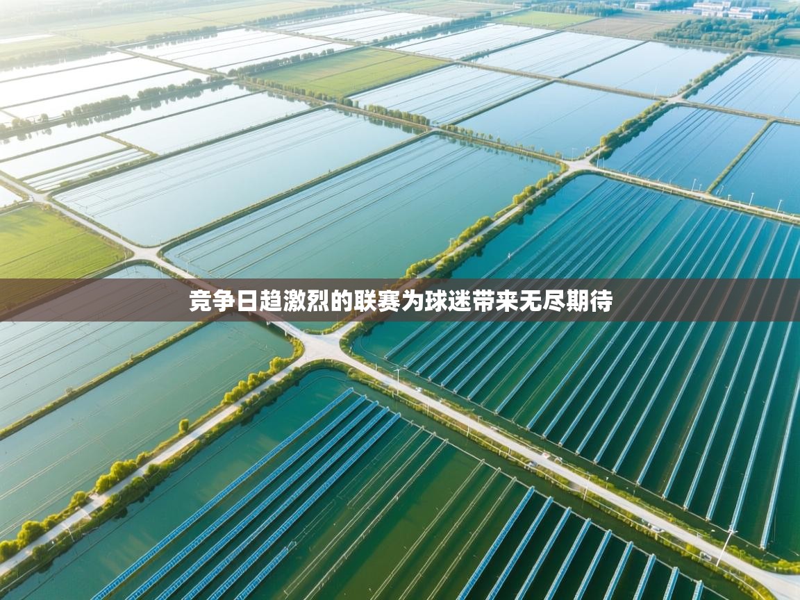 竞争日趋激烈的联赛为球迷带来无尽期待  第2张