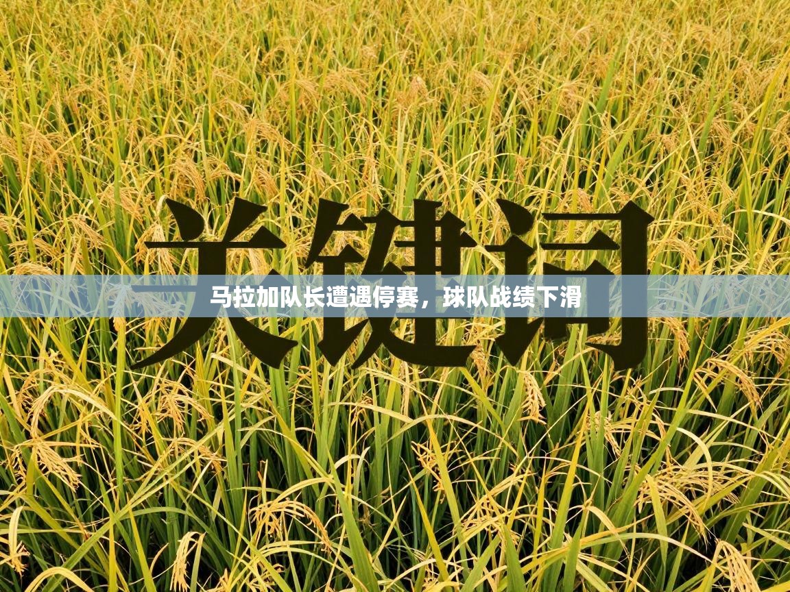 马拉加队长遭遇停赛，球队战绩下滑  第1张