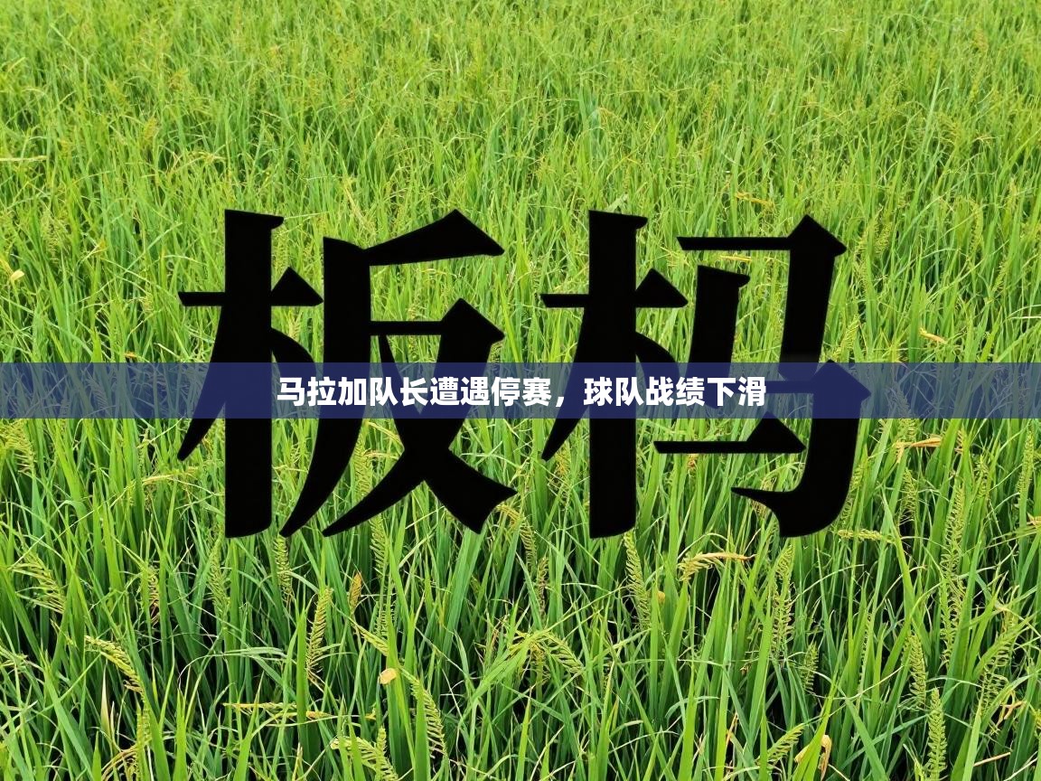 马拉加队长遭遇停赛，球队战绩下滑  第2张